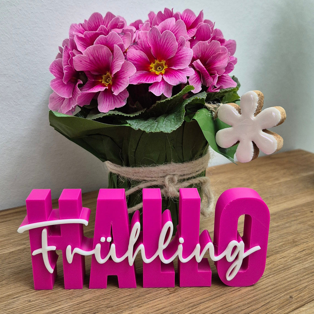 Hallo Frühling | 3D Schriftzug | Gute Laune