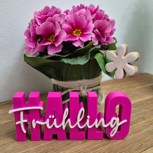 Hallo Frühling | 3D Schriftzug | Gute Laune
