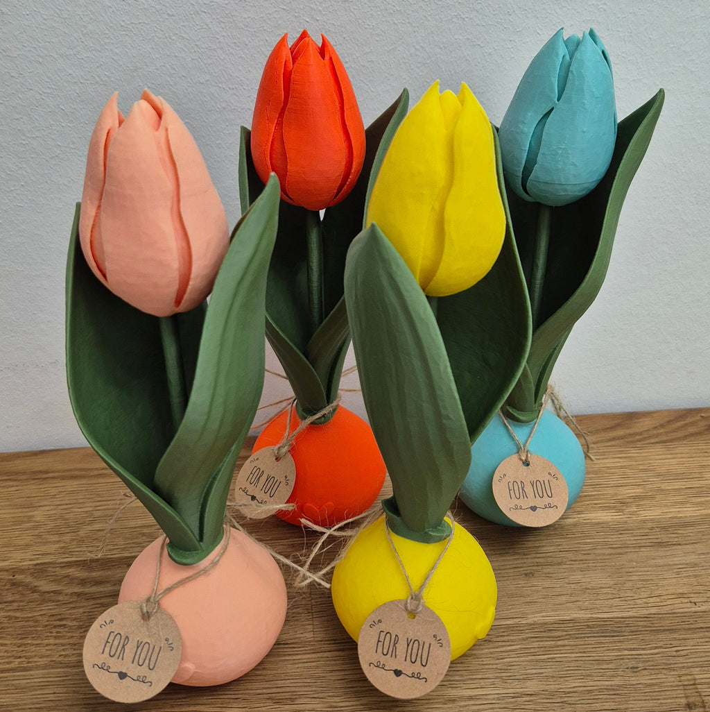 Tulpen, die bleiben - Frühlingsgefühle