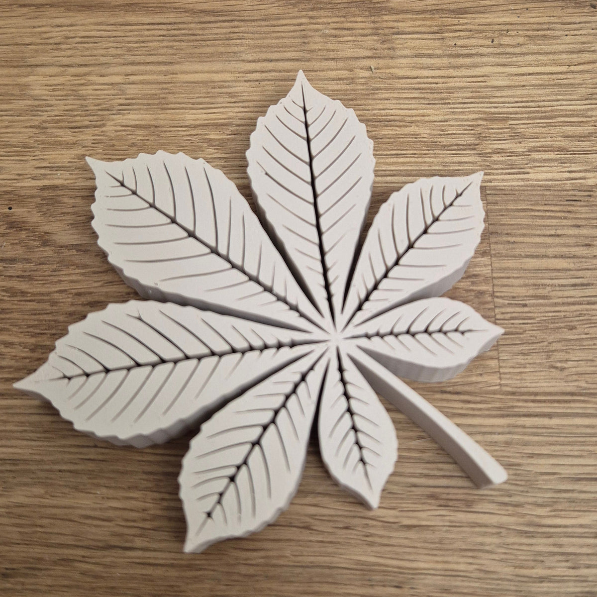 Herbstblätter Eiche Buche Kastanie Ahorn