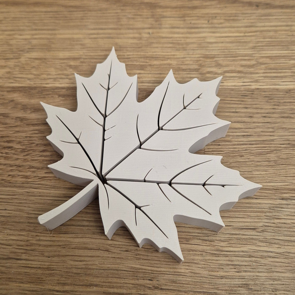 Herbstblätter Eiche Buche Kastanie Ahorn