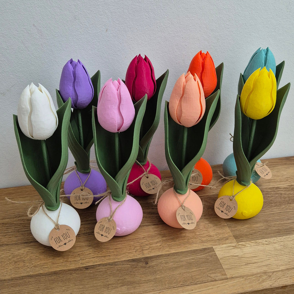 Tulpen, die bleiben - Frühlingsgefühle