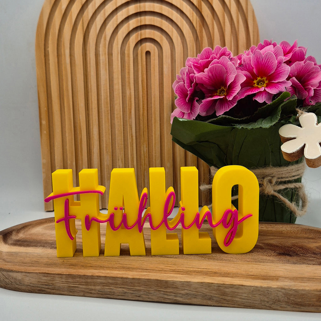 Hallo Frühling | 3D Schriftzug | Gute Laune
