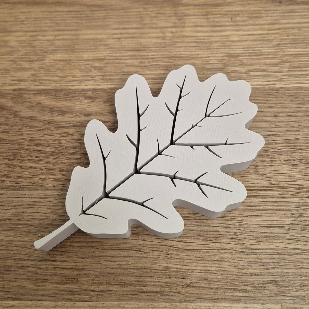 Herbstblätter Eiche Buche Kastanie Ahorn